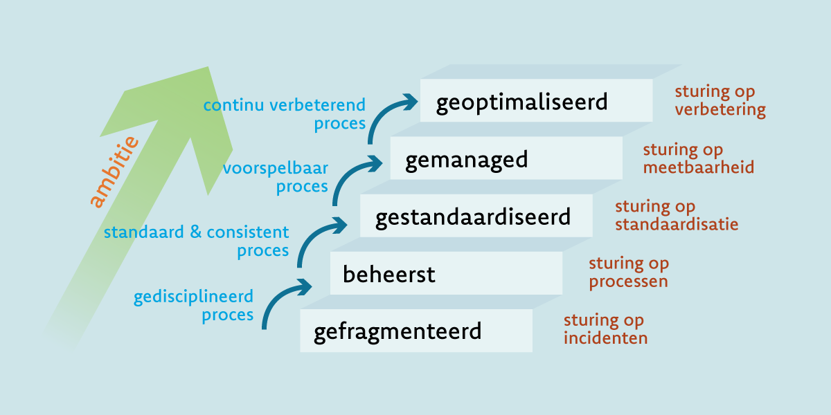 procesvolwassenheid